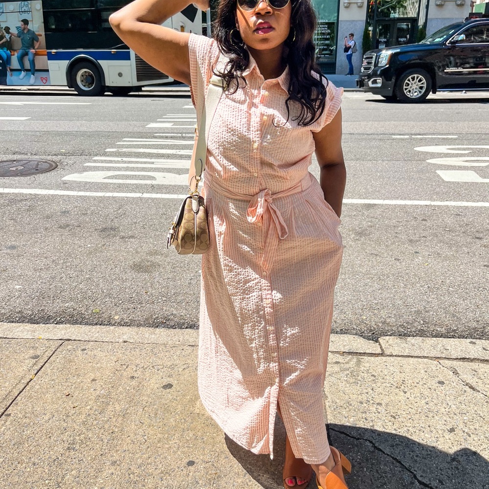 Loft button down dress